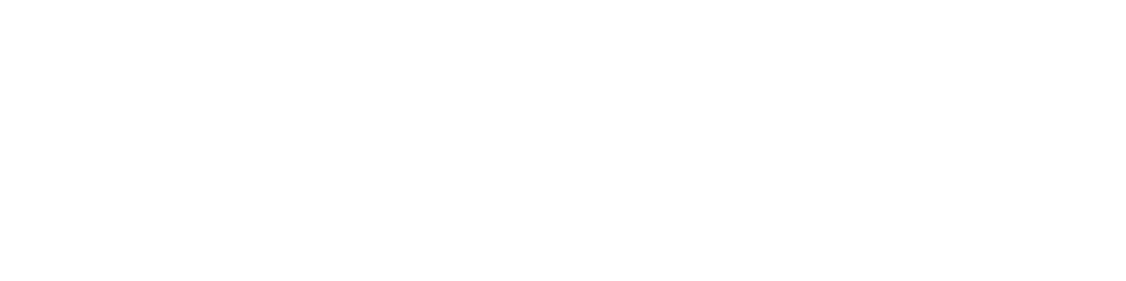 diseño-web-queretaro-cdmx-Showit-Logo-White-1600